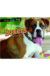 All about Boxers
