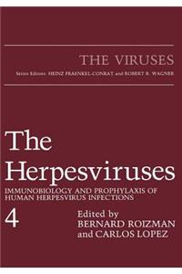 Herpesviruses