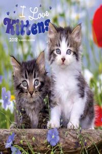 2018 Kittens  I Love Wall Calendar
