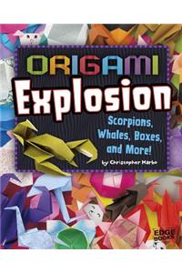 Origami Explosion