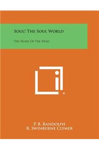 Soul! the Soul World