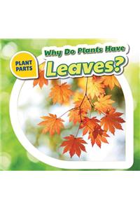 Why Do Plants Have Leaves?