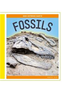 Fossils