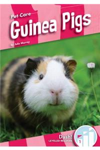 Guinea Pigs