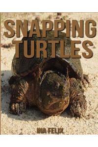 Snapping Turtles