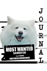 Most Wanted Samoyed Journal