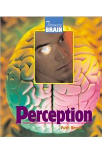 Perception