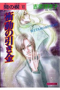 AI No Kusabi the Space Between Volume 6: Metamorphose (Yaoi Novel)