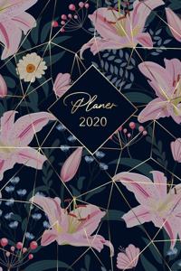 Planer 2020