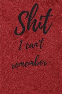 Shit I Can't Remember