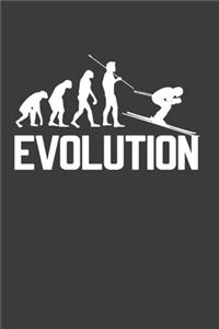 Evolution Notebook