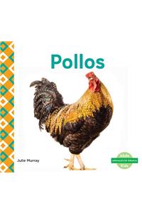 Pollos (Chickens) (Spanish Version)