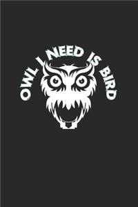 Owl I need is bird