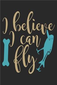 I believe i can fly