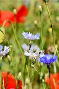Alpine Cornflower Notebook