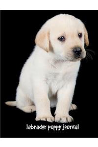 Labrador Puppy Journal