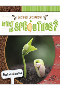 What Is Sprouting?