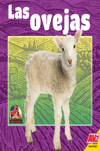 Ovejas (Sheep)