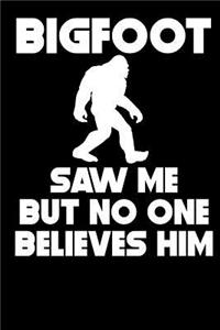 Bigfoot Saw Me But No One Believes Him