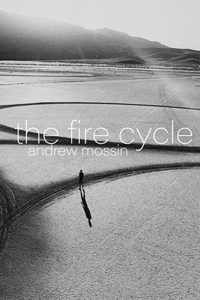 Fire Cycle