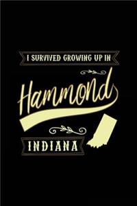 I Survived Growing Up In Hammond Indiana