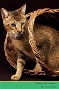 Chausie Cat Presents