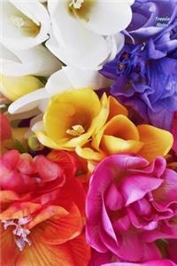 Freesia Notes