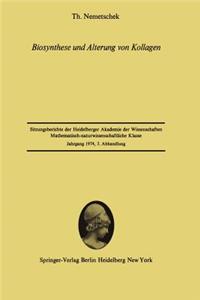 Biosynthese Und Alterung Von Kollagen