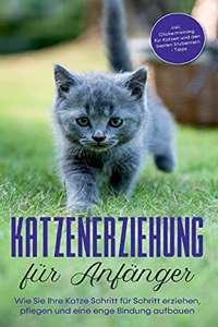Katzenerziehung für Anfänger