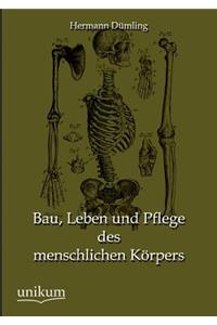 Bau, Leben und Pflege des menschlichen Körpers