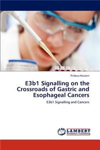 E3b1 Signalling on the Crossroads of Gastric and Esophageal Cancers