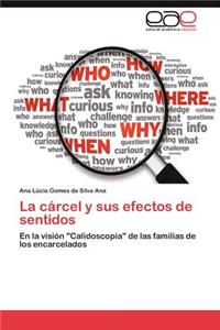 Carcel y Sus Efectos de Sentidos