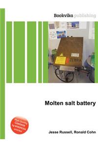 Molten Salt Battery