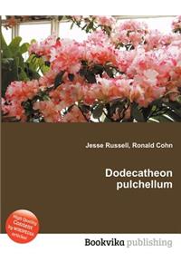 Dodecatheon Pulchellum