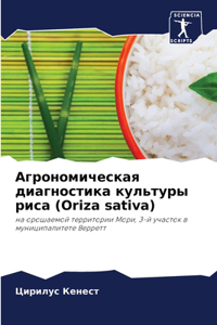 Агрономическая диагностика культуры ри