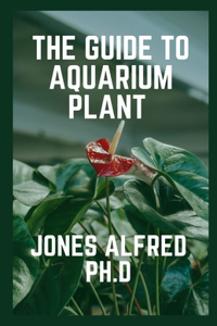 The Guide To Aquarium Plant