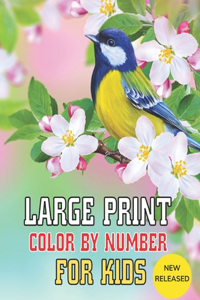 Large Print Color By Number For Kids