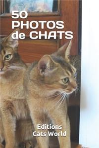 50 Photos de Chats