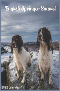 Jack Russell Terrier 2022 Calendar