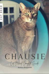 Chausie