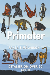 Primater fakta och målarbok