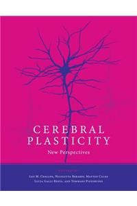 Cerebral Plasticity