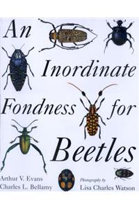 An Inordinate Fondness for Beetles