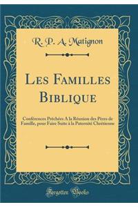 Les Familles Biblique: Conférences Prêchées A la Réunion des Pères de Famille, pour Faire Suite à la Paternité Chrétienne (Classic Reprint)