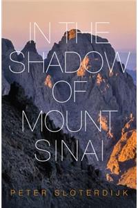 In The Shadow of Mount Sinai