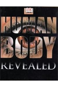 Human Body