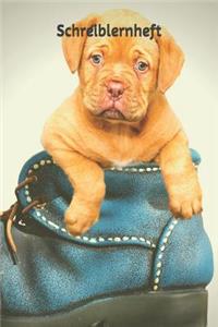 Schreiblernheft