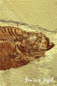 You're a Fossil