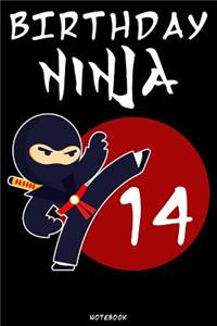 Birthday Ninja 14