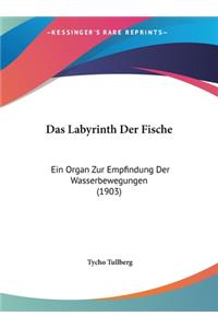 Das Labyrinth Der Fische